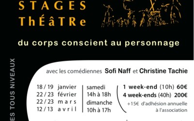 STAGE théâtre 1/4 > 18-19 janvier 2014