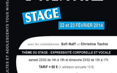 STAGE théâtre 2/4 > 22-23 février 2014